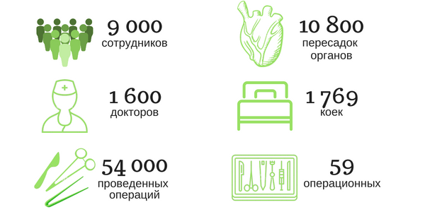 Клиника в цифрах Клиника в цифрах