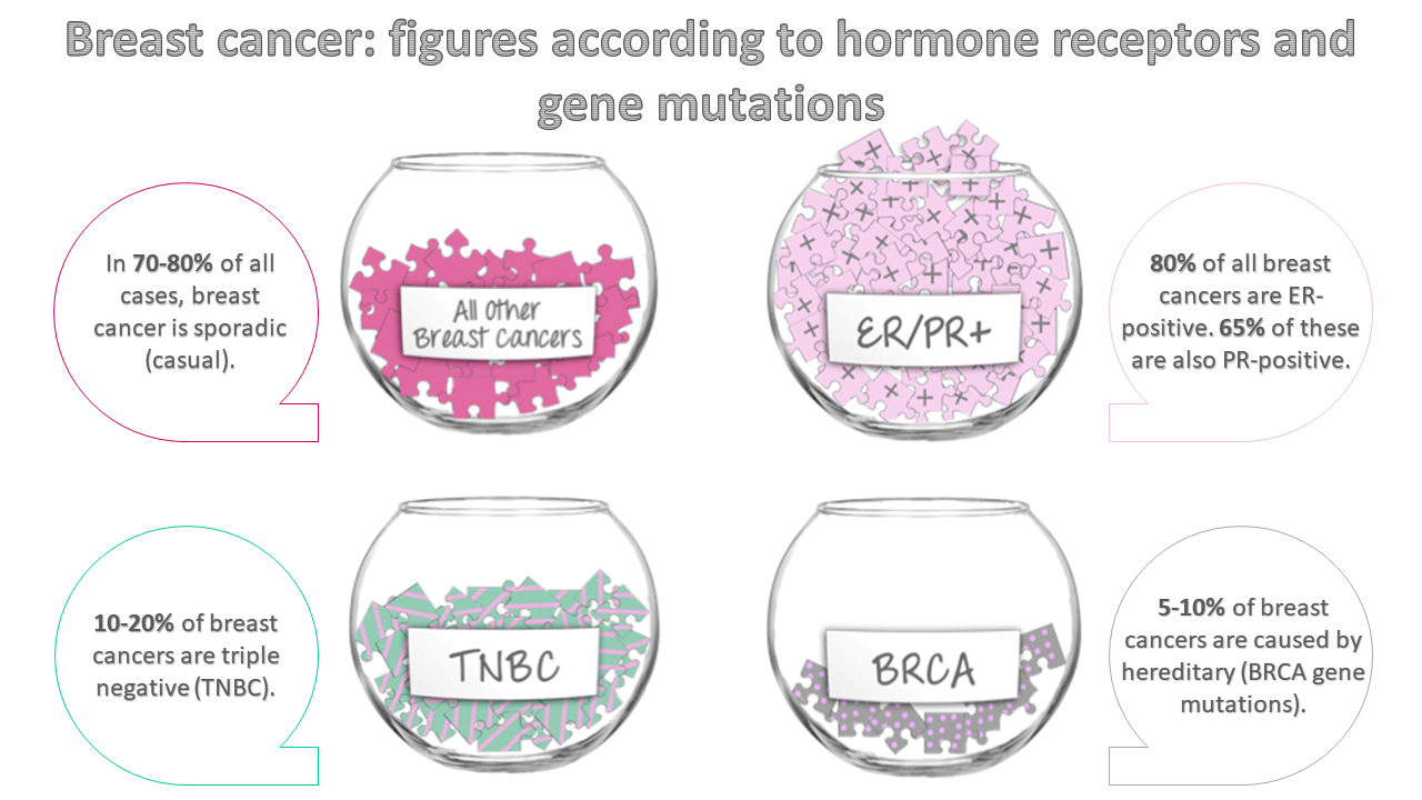 Breast cancer types according to genetics and hormones